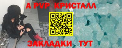 прущие грибы Мариинск
