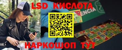 прущие грибы Мариинск