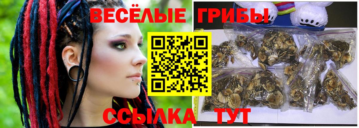 Чебаркуль  Псилоцибиновые грибы MAGIC MUSHROOMS  Вход с VPN 